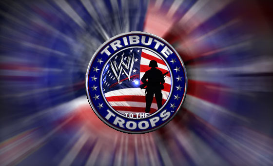 WWE Tribute to the Troops 2010 - Raport